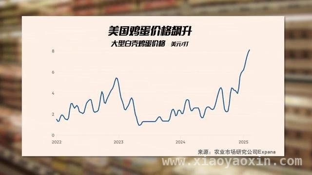鸡蛋危机：透视美国社会的多重困境 美国“鸡蛋荒”：天灾人祸交织的困局