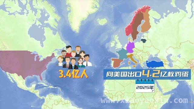 鸡蛋危机：透视美国社会的多重困境 美国“鸡蛋荒”：天灾人祸交织的困局