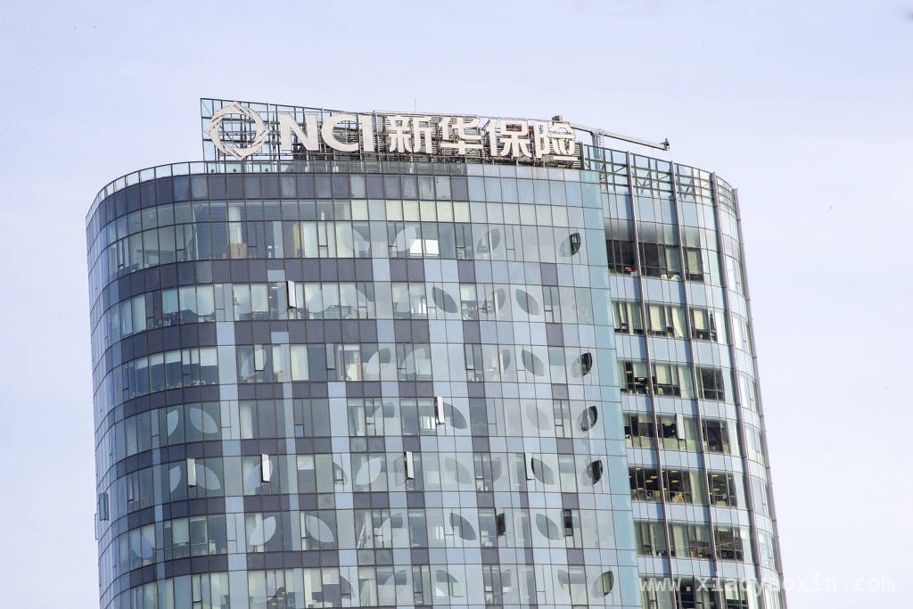 新华保险2024年业绩大增，各渠道业务亮点频现！ 2024新华保险业绩亮眼，投资收益率表现出色！