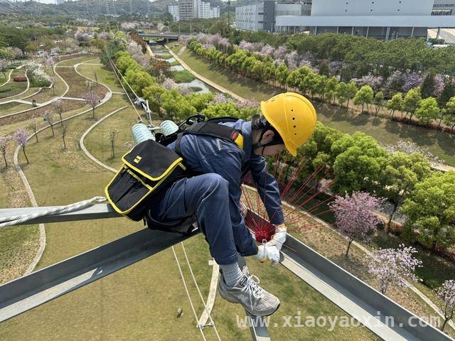 220千伏育如线检修，深圳供电局为十五运会筑牢电力根基，深圳供电局为十五运会供电提前检修，春日街头蓝影忙碌