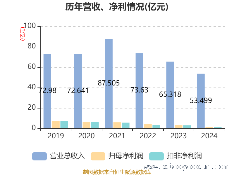 从数据看大亚圣象：经营与负债的微妙平衡，大亚圣象2024年财务状况大揭秘