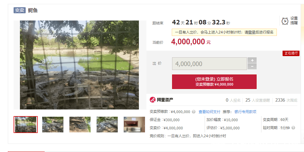 400万起拍的100吨活体鳄鱼，为何无人问津？，100吨活体鳄鱼拍卖，400万起拍谁会出手？