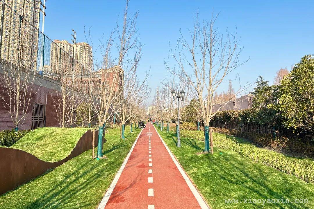 两会热议“体重管理”，虹口区绿道带你畅享运动自由，全国两会关注“体重管理”，虹口区新绿道邀你拥抱健康