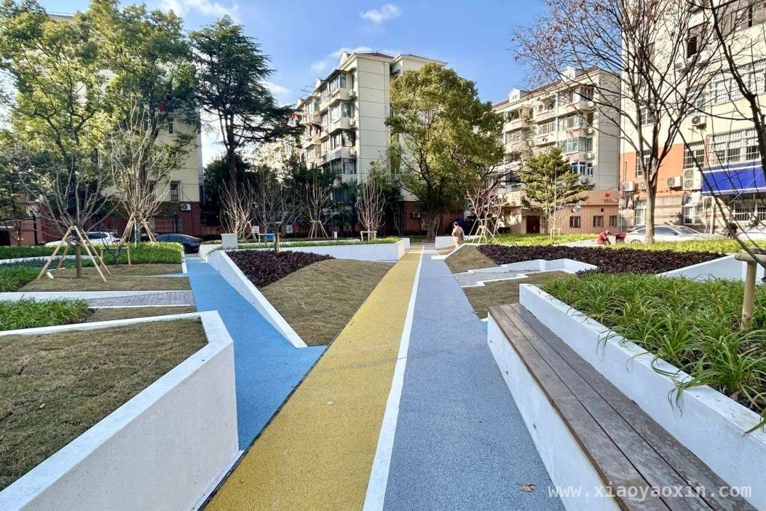 两会热议“体重管理”，虹口区绿道带你畅享运动自由，全国两会关注“体重管理”，虹口区新绿道邀你拥抱健康