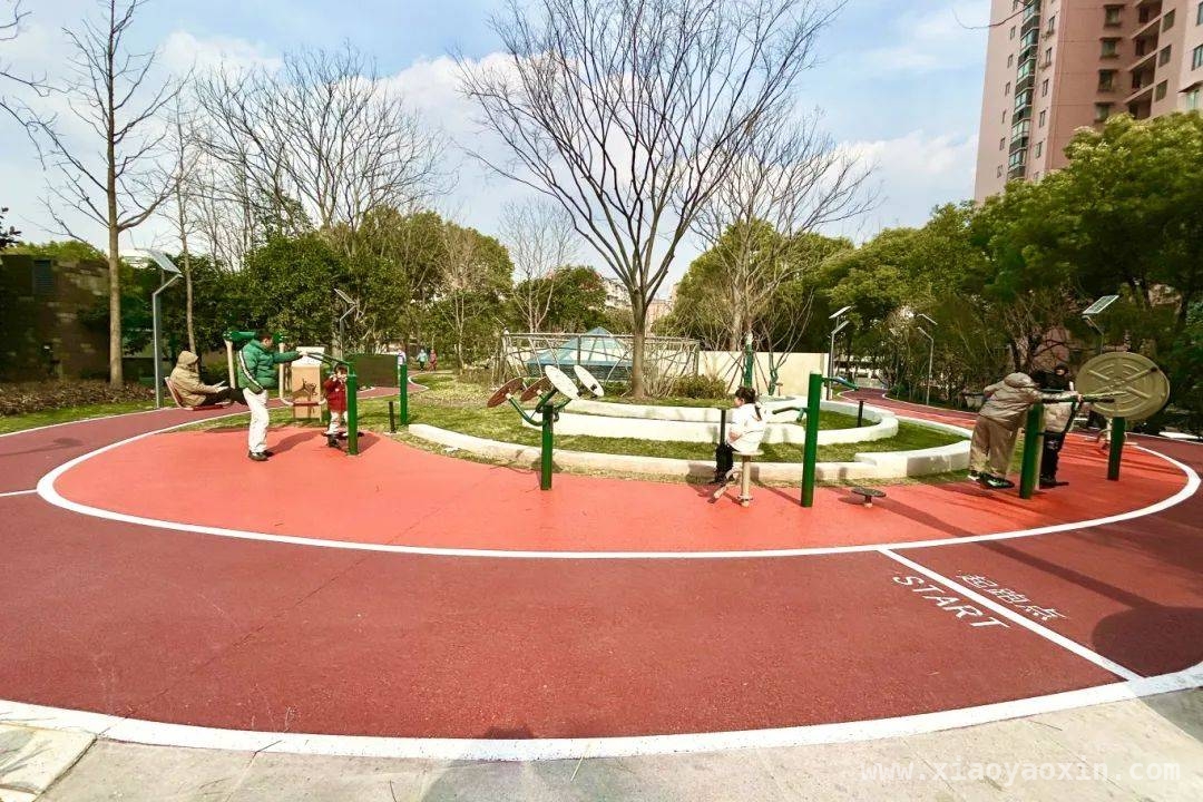 两会热议“体重管理”，虹口区绿道带你畅享运动自由，全国两会关注“体重管理”，虹口区新绿道邀你拥抱健康