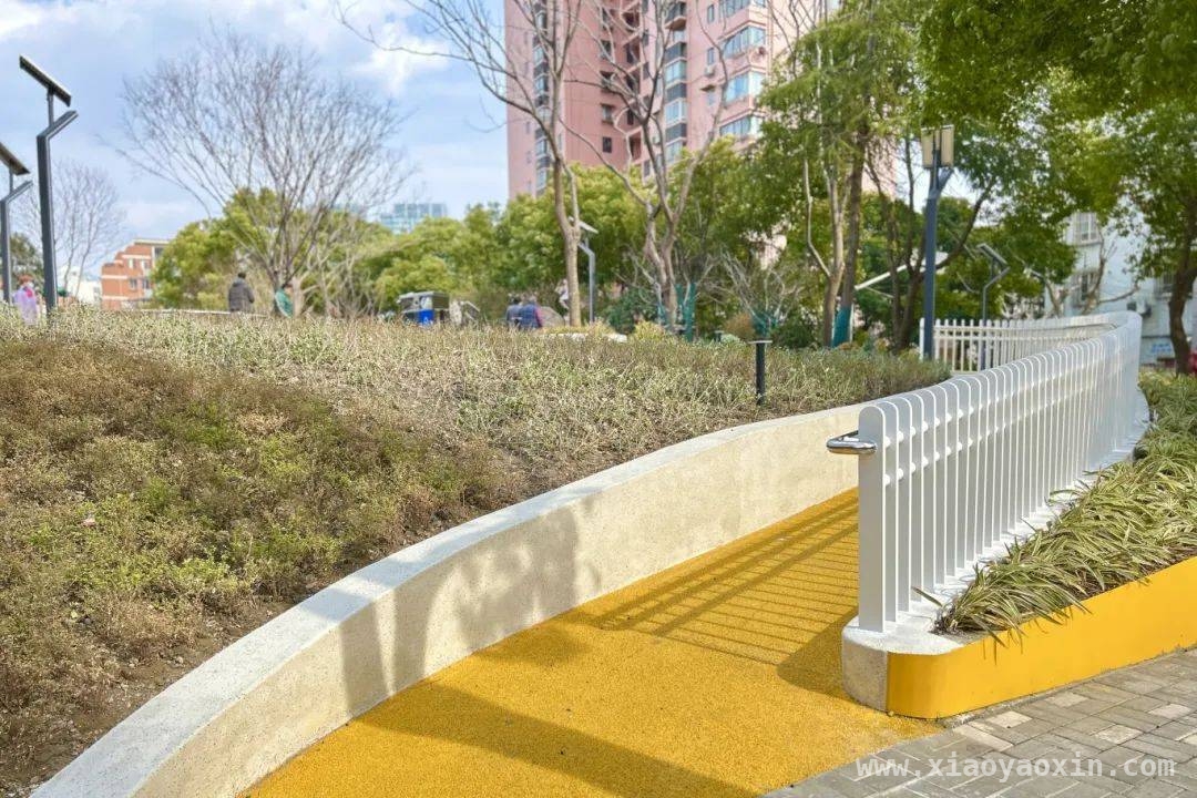 两会热议“体重管理”，虹口区绿道带你畅享运动自由，全国两会关注“体重管理”，虹口区新绿道邀你拥抱健康
