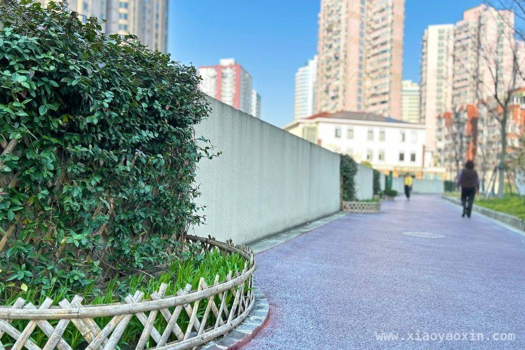 两会热议“体重管理”，虹口区绿道带你畅享运动自由，全国两会关注“体重管理”，虹口区新绿道邀你拥抱健康