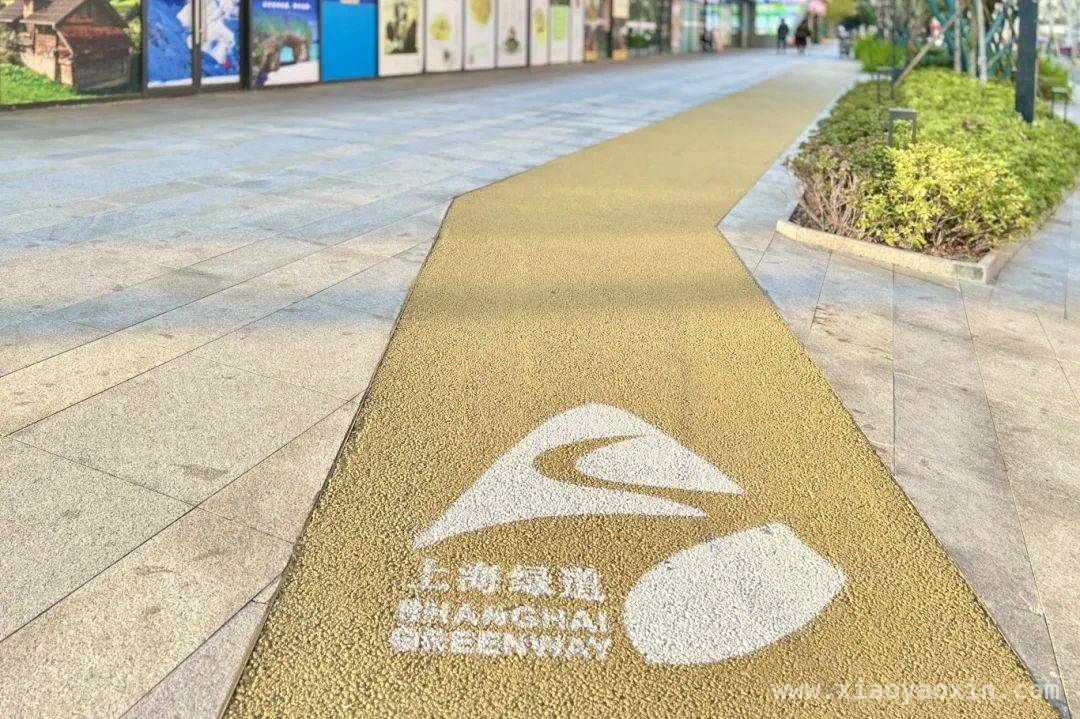 两会热议“体重管理”，虹口区绿道带你畅享运动自由，全国两会关注“体重管理”，虹口区新绿道邀你拥抱健康