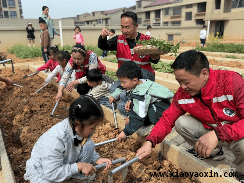 永州幼儿园里的春日农耕：孩子种下绿色梦想