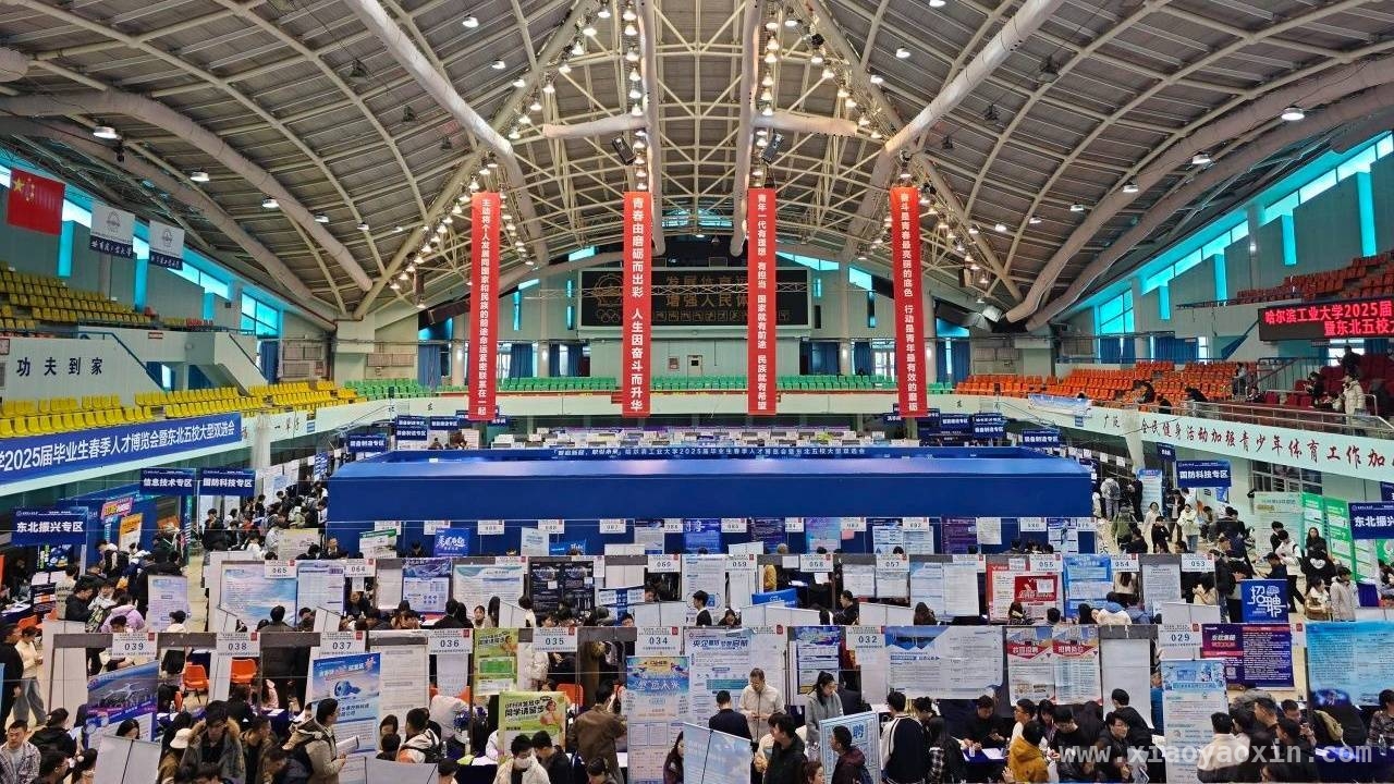 哈工大春季人才博览会：4.2万岗位开启就业新征程
