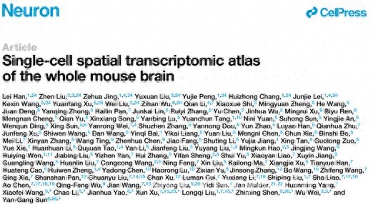 全新视角：单细胞分辨率小鼠大脑图谱问世，科研新成果：成年小鼠大脑图谱助力神经科学研究