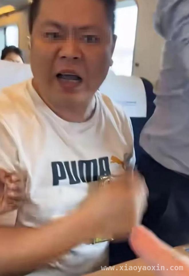 从高铁霸座打人事件看公众文明与法律尺度