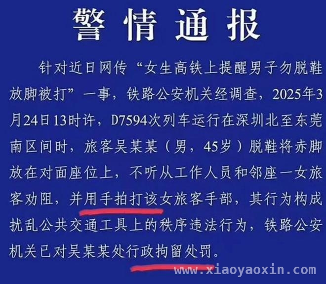 从高铁霸座打人事件看公众文明与法律尺度