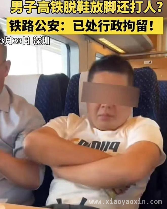 从高铁霸座打人事件看公众文明与法律尺度