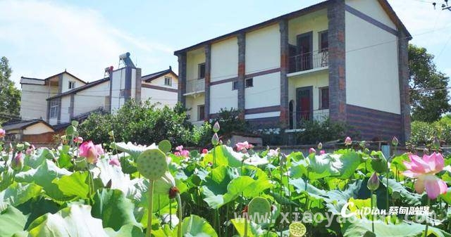 23年亲情不断线，湖北夫妻千里送房续写温情篇章，23年分离，湖北夫妻千里寻亲送房产，诠释信义亲情