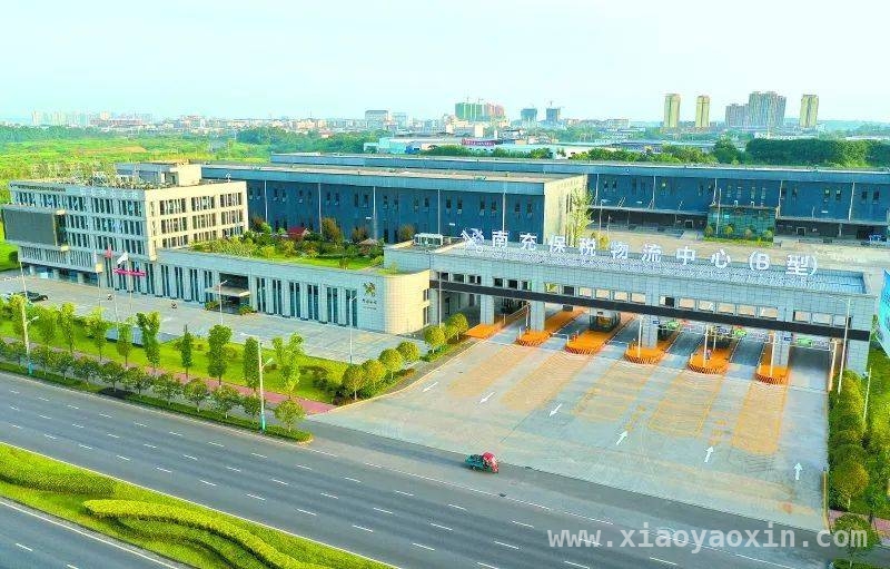 南充外贸“加速跑”，海关助力与平台经济激活新活力，前两月南充外贸数据飘红，进口出口双增长背后的秘诀