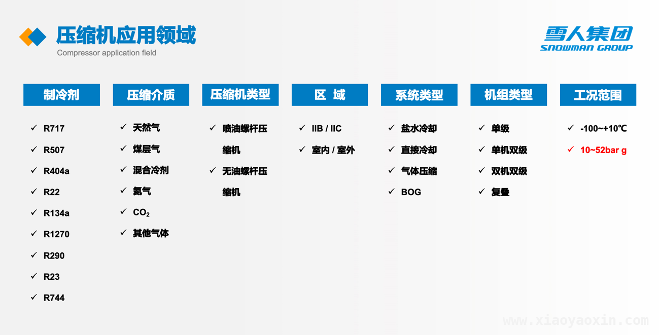 雪人集团发布8MPa工艺气体压缩机，助力深层煤层气开发新突破，雪人SRM TEC压缩机：以技术赋能深层气资源高效利用