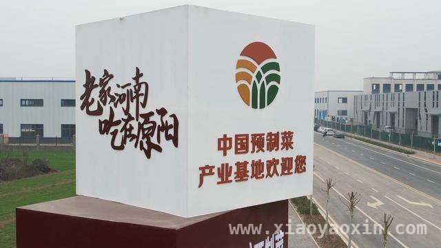 原阳县民营企业座谈会共绘发展新蓝图