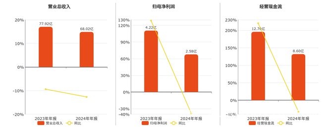 太平鸟2024年年报出炉，多项指标有变动 2024年太平鸟年报：营收利润双降背后的隐忧