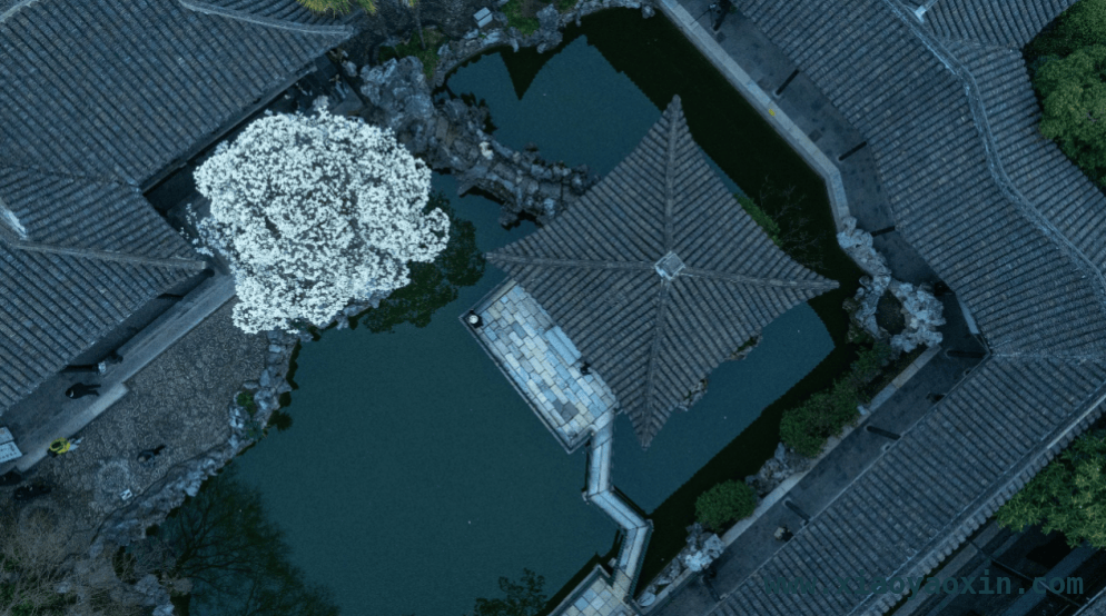 何园：花影间藏着家族荣光与城市文化传承，走进何园：感受春花、古建与历史的交织魅力
