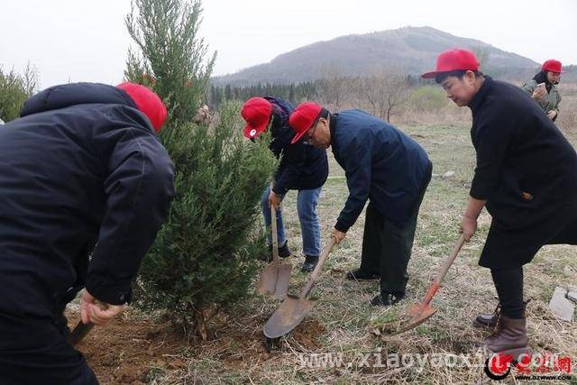 即墨区志愿活动：为生态与残疾人家庭添希望
