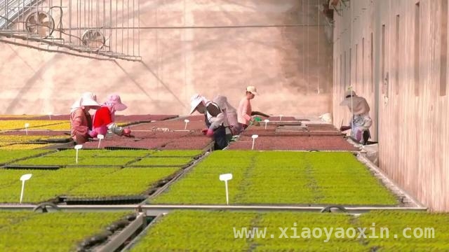 春耕时节：多地奏响科技兴农新乐章