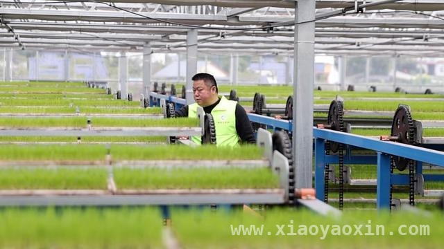 春耕时节：多地奏响科技兴农新乐章