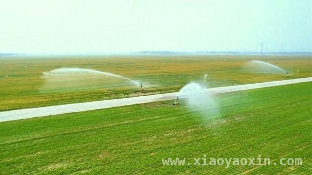 春耕时节：多地奏响科技兴农新乐章