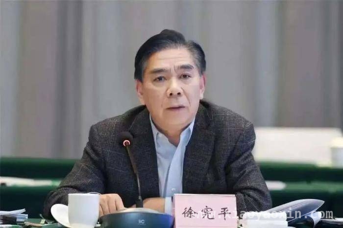 重磅！国家发改委原副主任徐宪平涉嫌严重违纪违法被查，徐宪平：从仕途辉煌到接受审查调查的转变