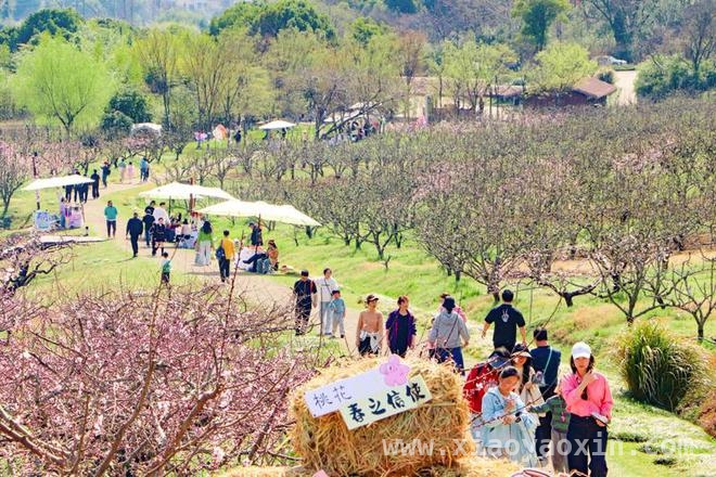 国潮春日，文旅场景“上新”拉动消费热潮