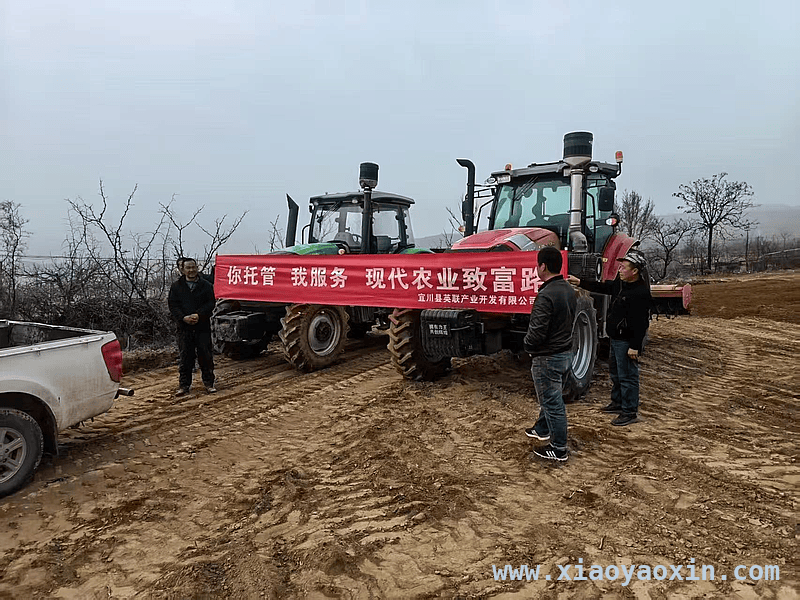 延安供销系统：春耕服务开新局，为农业发展注入强劲动力，2025延安供销发力春耕，多举措推动农业现代化