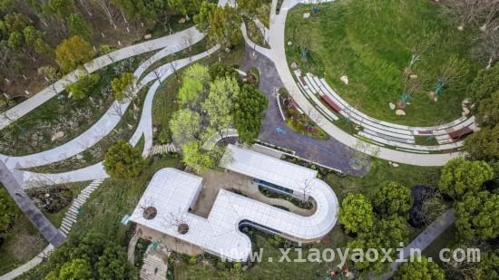 惊艳！天鹅湖公园焕新，解锁更多游玩新姿势