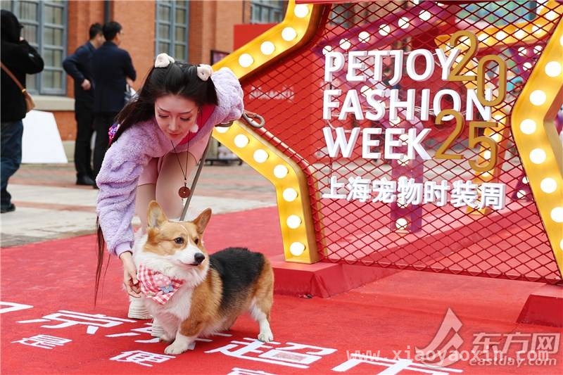 2025宠物消费新趋势：“养儿式”养宠成主流