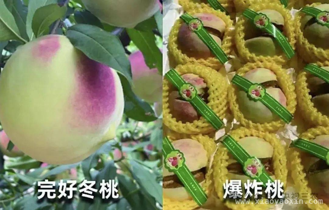 警惕！这些水果名字背后的骗局