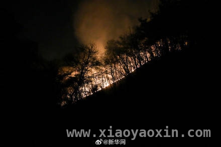 恶劣气象下，韩国山火救援艰难前行，韩国多地山火：伤亡数字攀升，救灾形势严峻