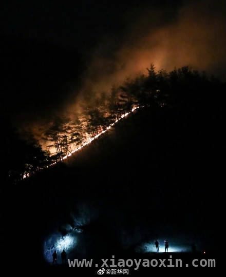 恶劣气象下，韩国山火救援艰难前行，韩国多地山火：伤亡数字攀升，救灾形势严峻