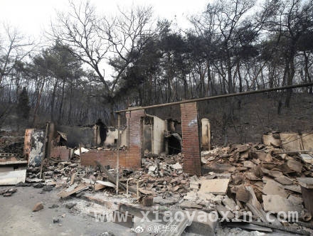 恶劣气象下，韩国山火救援艰难前行，韩国多地山火：伤亡数字攀升，救灾形势严峻