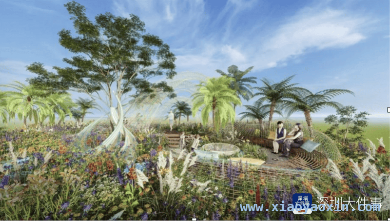 2025花园大赛爆火，超链密码花园背后故事大揭秘 花园大赛里的深圳印记：超链密码花园的独特魅力
