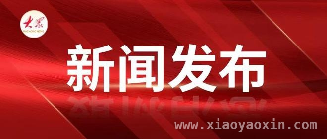 一年奋进路：台儿庄区委社会工作部推动基层治理与民生改善