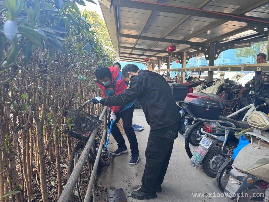 徐汇虹南：“僵尸车”整治让小区焕新颜，整治“僵尸车”，虹南居民区提升居民幸福感