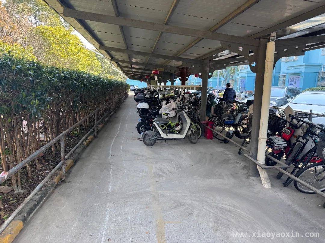 徐汇虹南：“僵尸车”整治让小区焕新颜，整治“僵尸车”，虹南居民区提升居民幸福感