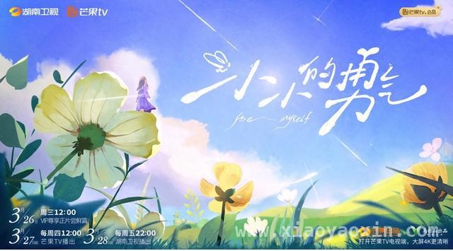 赵露思带你走进小小的勇气，感受别样生活