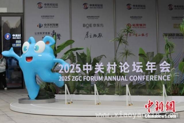 2025中关村论坛启幕，国际大咖盛赞北京科创生态，2025中关村论坛开幕，中国科创从参与者到规则制定者的跨越