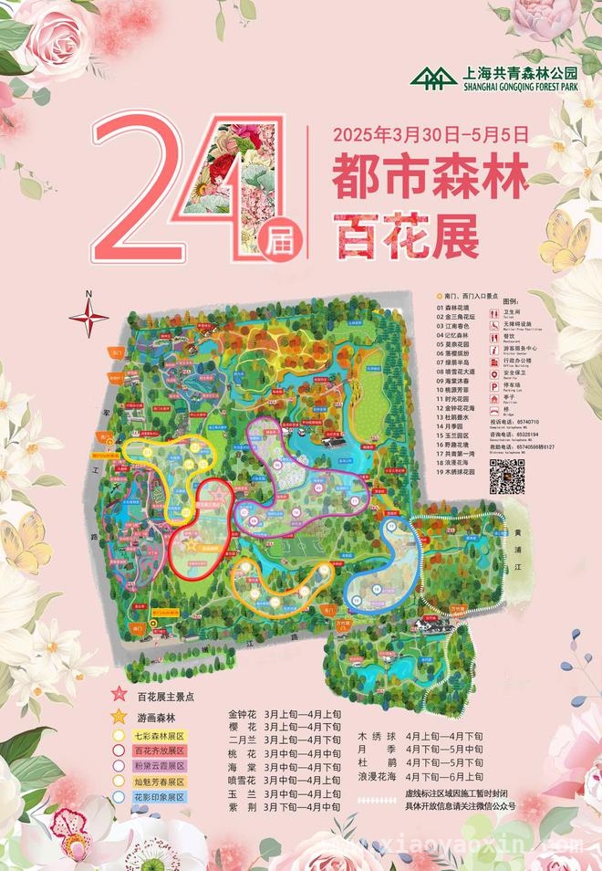 上海共青森林公园百花展：邂逅莫奈笔下的春日盛景，共青森林公园百花展，让你沉浸式感受莫奈艺术之美