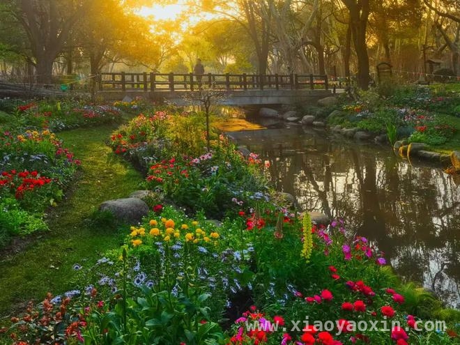 上海共青森林公园百花展：邂逅莫奈笔下的春日盛景，共青森林公园百花展，让你沉浸式感受莫奈艺术之美