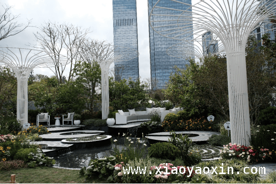 2. 探秘“2025粤港澳大湾区花园大赛”：“第一滴雨”花园的生态奇迹，5. 花园大赛中的科技美学：“第一滴雨”花园的绿色魅力