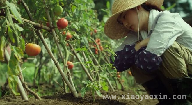 解读海子〈面朝大海 春暖花开〉：幸福表象下的隐秘忧伤