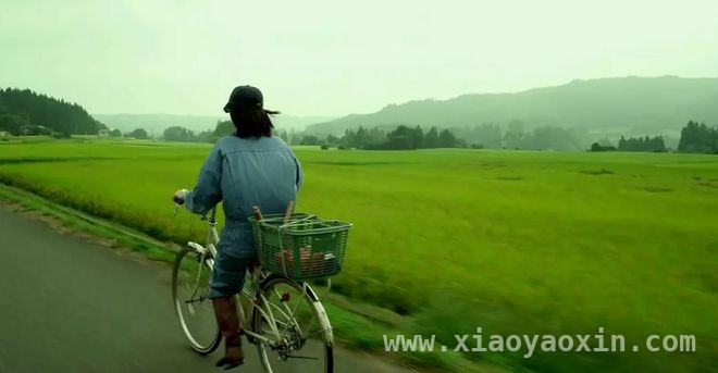 解读海子〈面朝大海 春暖花开〉：幸福表象下的隐秘忧伤