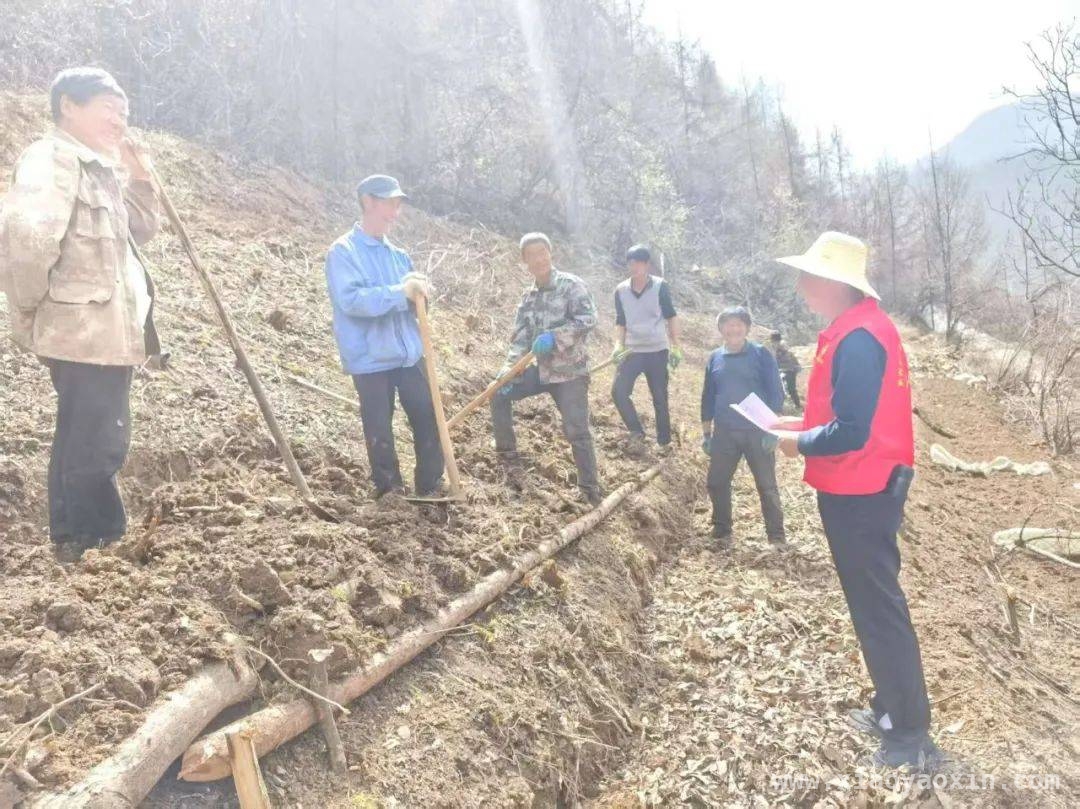 森林草原防火关键期，泰山乡多举措守护“生态绿”