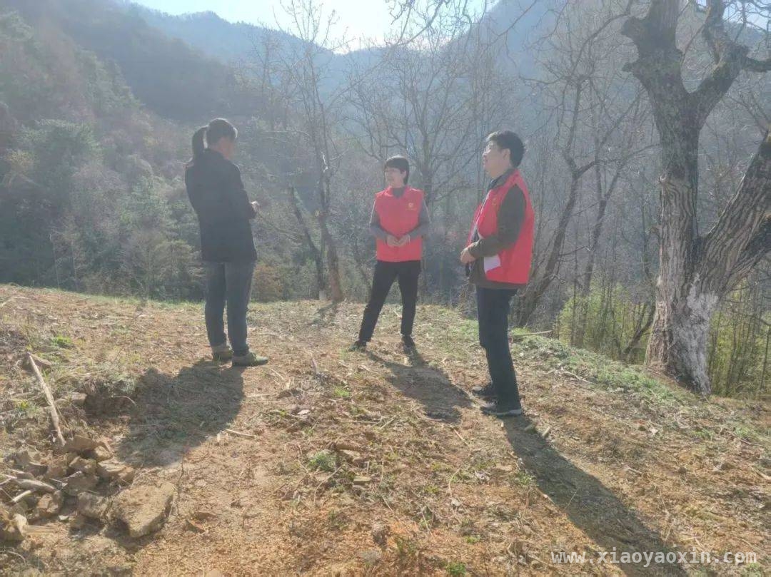 森林草原防火关键期，泰山乡多举措守护“生态绿”